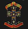 Appetite For Destruction