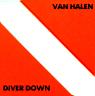 Diver Down